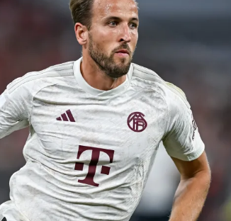 貌与战术风 貌与战术风