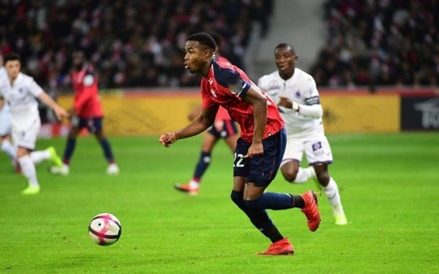 次外租后形 次外租后形