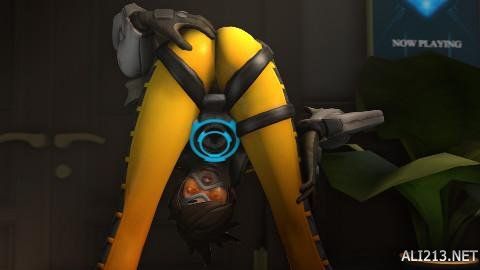 34311 34311